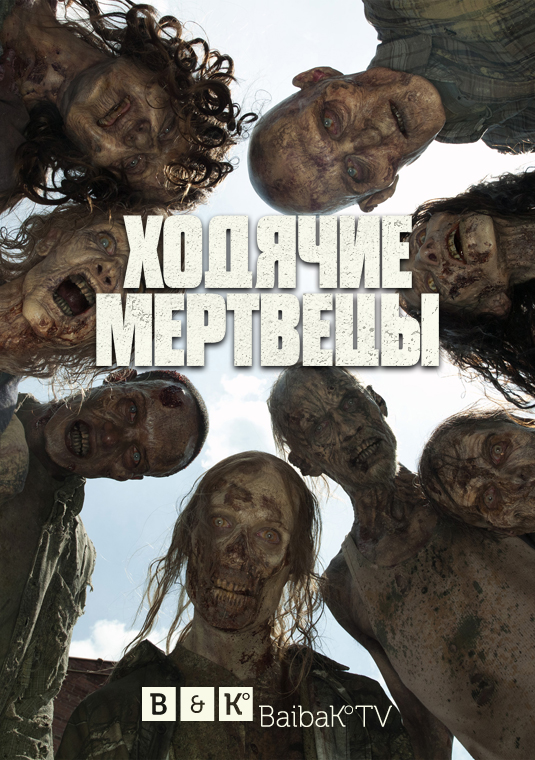 poster-the-walking-dead-s5-v3