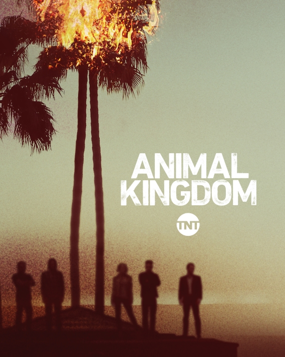 AnimalKingdom