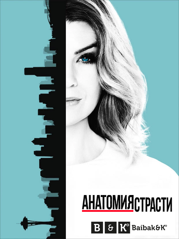 greys_anatomy_poster_s13