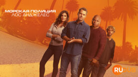 player-NCIS-LA-S14